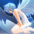 �ɳ�ս��  