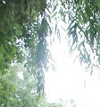 bk123  
