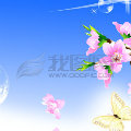 li815087188  