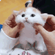 ������ô�ɰ�123  