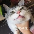 ������˹����  