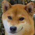 ���c  
