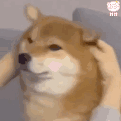 ������  